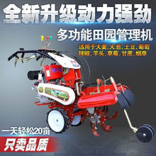 �����������С���_�ϙC �������������C �[�������_�������C�S��