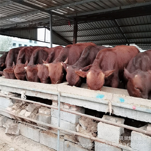 ������ľٝţ�r�������ţ�缃�N�����Sţ�r�� С��ţ��