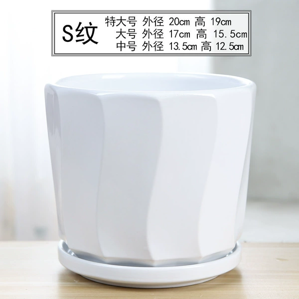 [70033白]