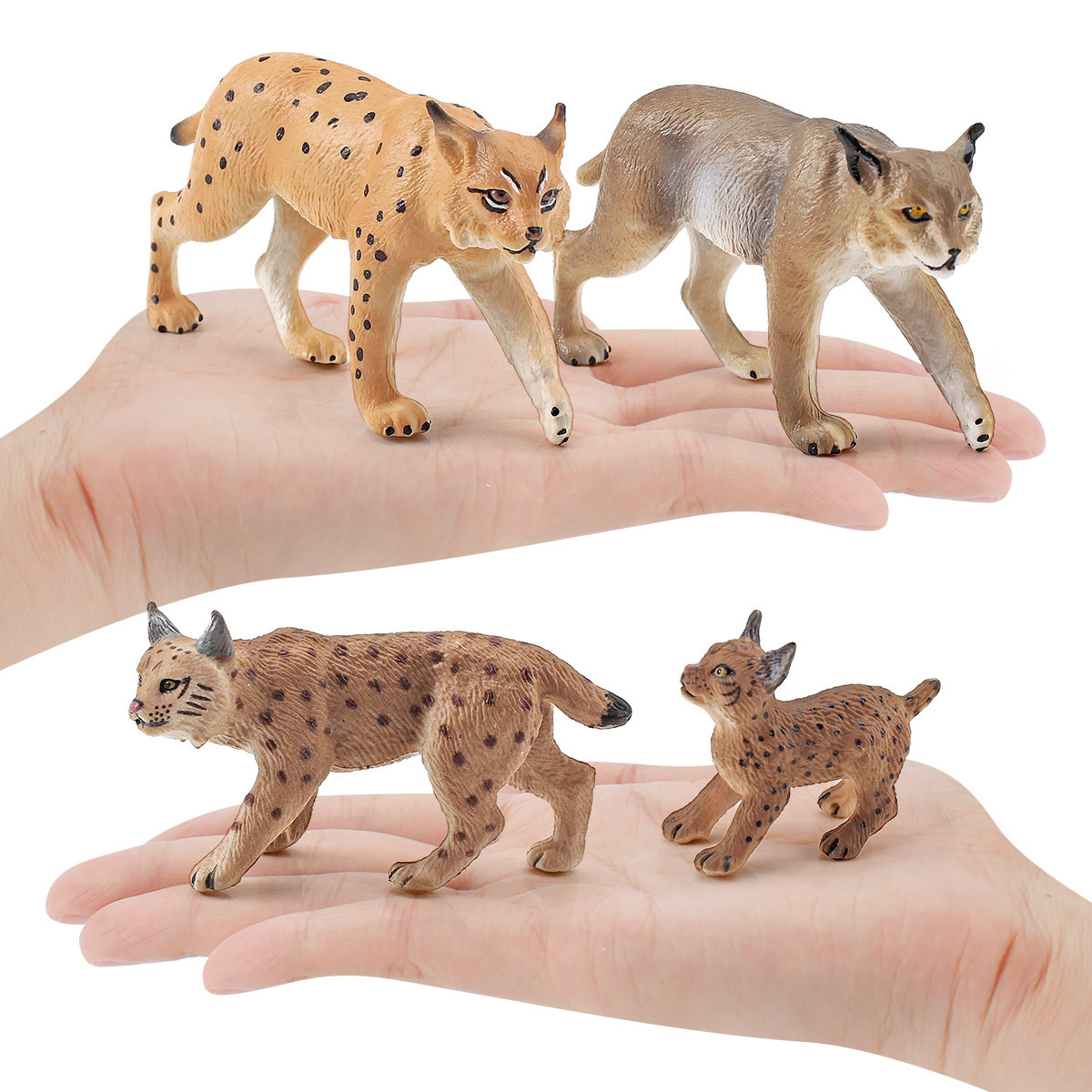 Simulación transfronteriza animal del bosque CATx modelo de juguete para niños gato cognitivo CATx Castor salvaje decoración adornos