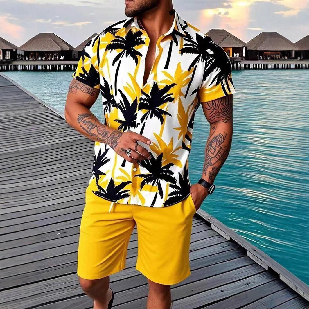 Men's Summer Beach Shorts Set With 3D Digital Print Black White Contrast Vacation Style Casual Short Sleeve_viptrois.com
