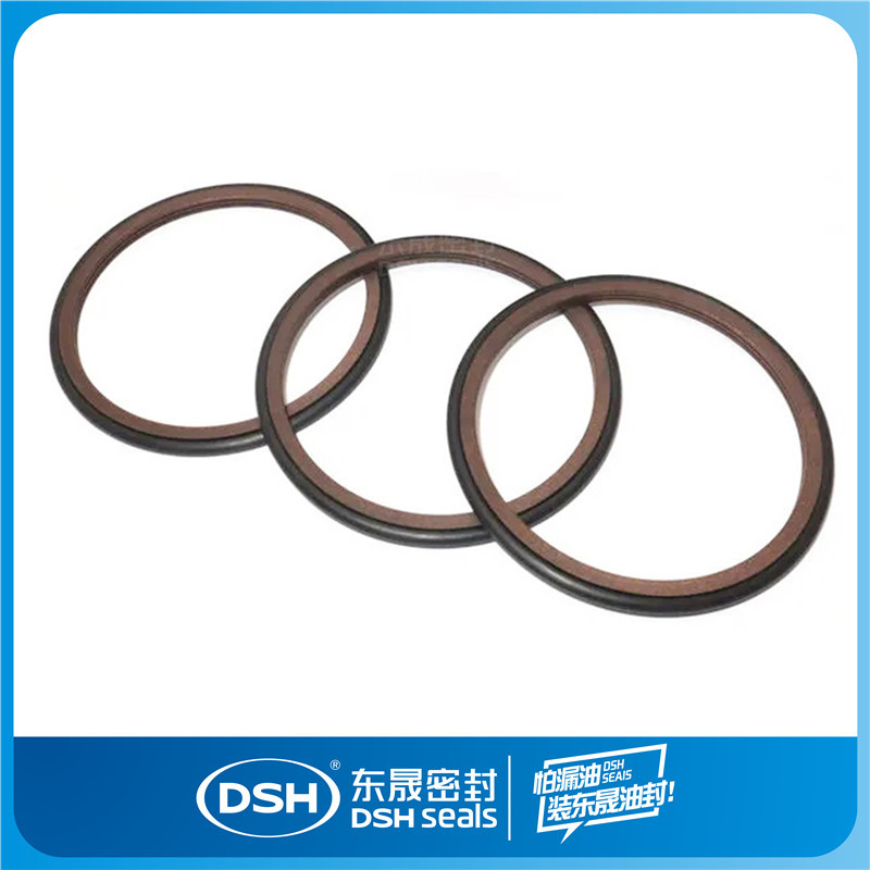 厂家直供孔用旋转格来圈DNS 聚四氟乙烯密封圈 高温密封件格莱圈