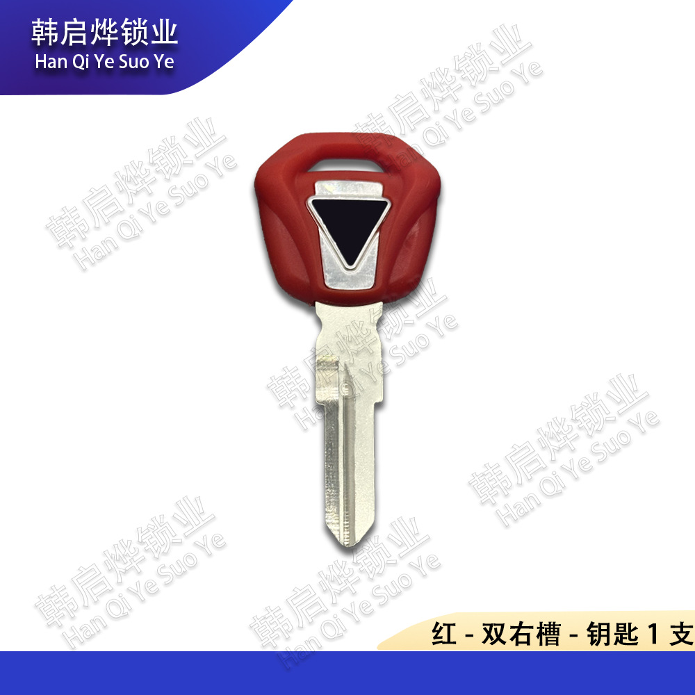 Suitable for Triumph Trident 660 Tiger 900 800 765S 765R 765Rs 675 Key Blanks