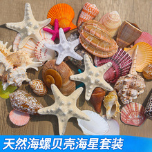 ��Ȼؐ�����ݺ����~�����ֹ�diy���Ư��ƿ�bľ�з����S���l