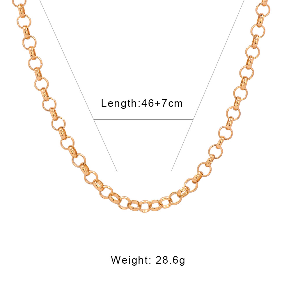 Fashion Geometric Thick Chain Alloy Necklace display picture 1