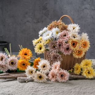 ���l���ǉ�����z���z���޾�INS�L���滨�Ҿ��b�c�ٻ��羳