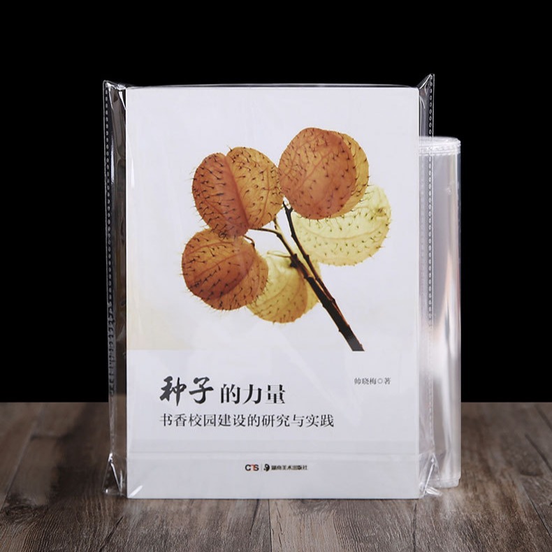 Customized OPP self-adhesive bags, non-drying adhesive plastic packaging bags with logo printing, wholesale card-head packaging bags, double-sided, 12-micron thickness