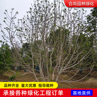 �������m������ͥԺ���ԾG��ֲ��t���m�����m�����m���;��^����