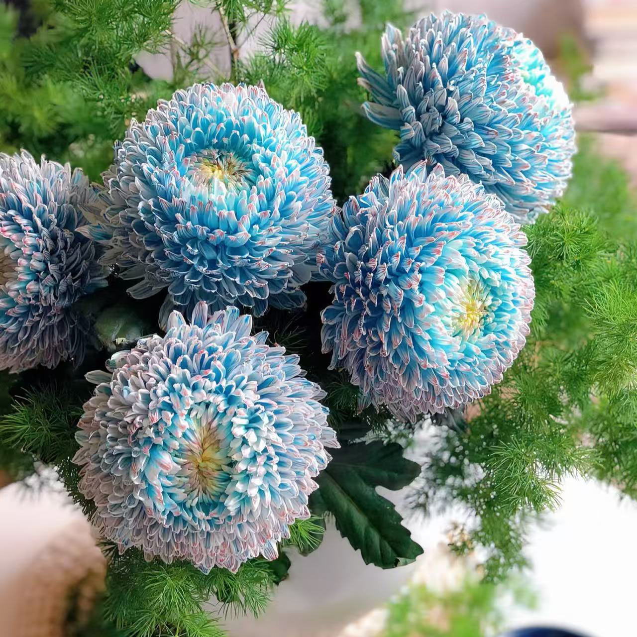 a868bb55563b742af283c60cbd65b7