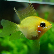 Ӱ_P~Ꭷ^p~{m~~wС͵ˮ~