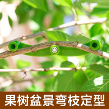 果树拉枝定型器盆景造型拿弯器植树枝条固定弯枝树木直弯器器