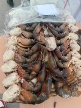 ���l��з��36�� ��з����з��з��������з�ųɶ������;Ƶ�ʳ��