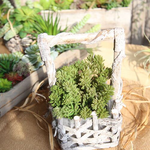 Manufacturer's six-headed jade lotus succulent plant simulation flower garden wedding bouquet flower wall plant wall artificial flower MW17692