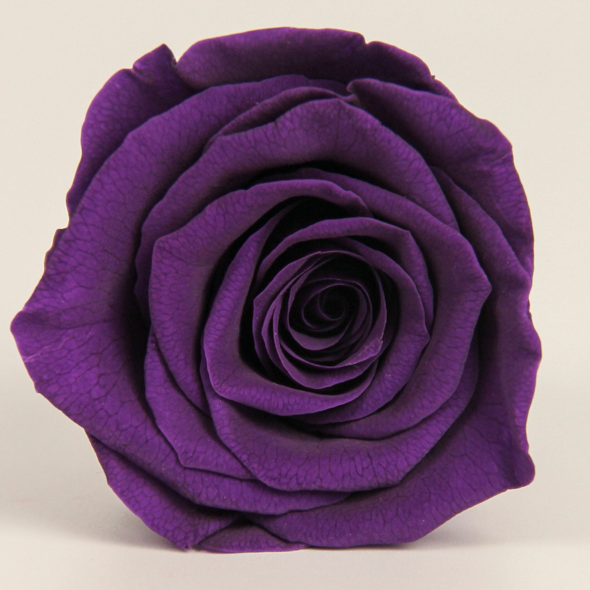 Clase B Flor eterna Rosa 2 3cm Día de San Valentín chino Flor eterna al por mayor DIY Yunnan 520 Regalo del día de la madre