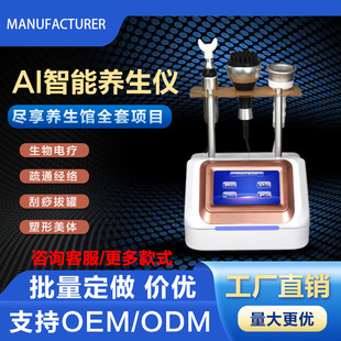Intelligent health instrument dds Meridian dredging body scraping cupping acid removal beauty biological electrotherapy conditioning instrument