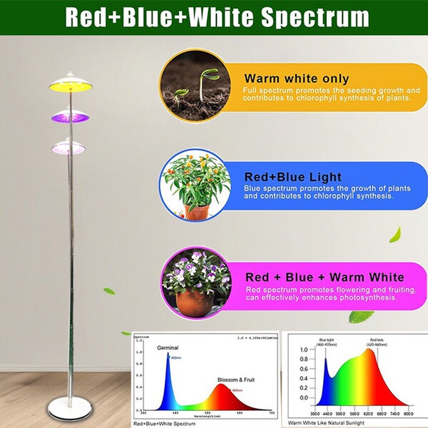 Plant lamp