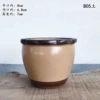 B05 soil