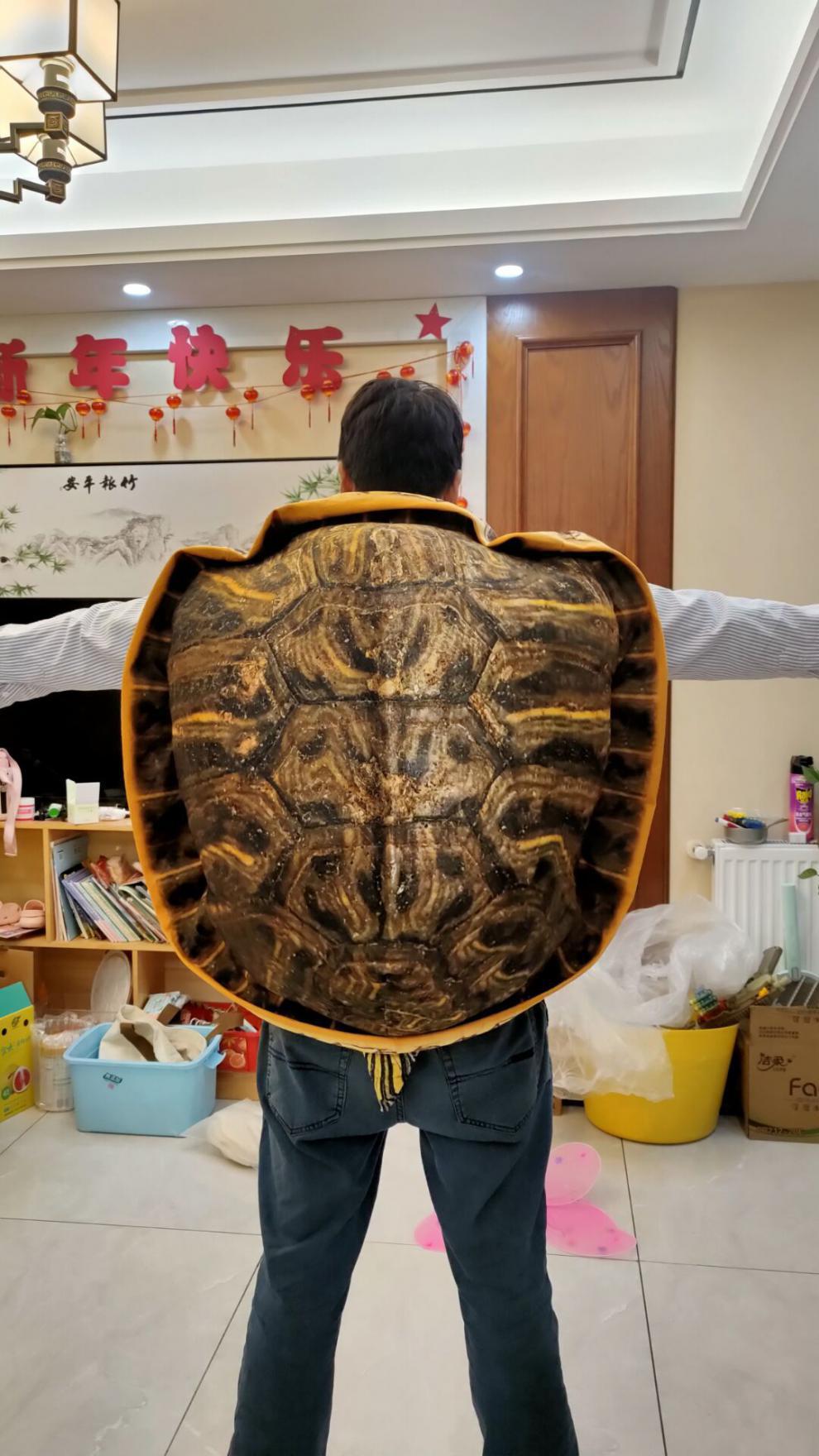 网红超大乌龟壳玩偶可穿戴龟壳抱枕人穿衣服龟蜜公仔毛绒玩具礼物-阿里巴巴