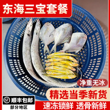 东海三宝大套餐杂鱼小黄鱼鲳鱼舟山小眼睛油带鱼家庭套餐海鱼包邮