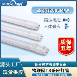 t8灯管200lm物联网高光效雷达感应日光灯地下车库节能改造1.2米