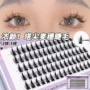 芭比小恶魔自然分段假睫毛