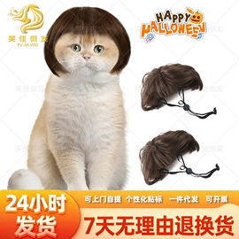 假发马尾;其他假发;宠物头饰