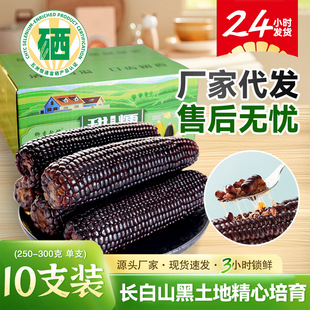 �S�Ҵ��l26���^��|����Ŵ���ת�����հ��b10֧�����������ܛŴ