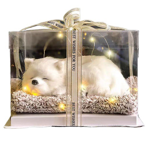 Regalos de Día de San Valentín, novia, novia, regalo de cumpleaños, muñecas de simulación de animales llamarán gatos.