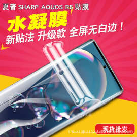 适用于 夏普SHARP AQUOS R6/P6/LEITZ PHONE1 水凝膜 贴膜 曲面膜