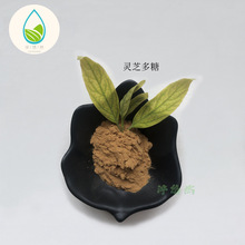 灵芝菌丝体 灵芝菌丝体品牌 图片 价格 灵芝菌丝体批发 阿里巴巴