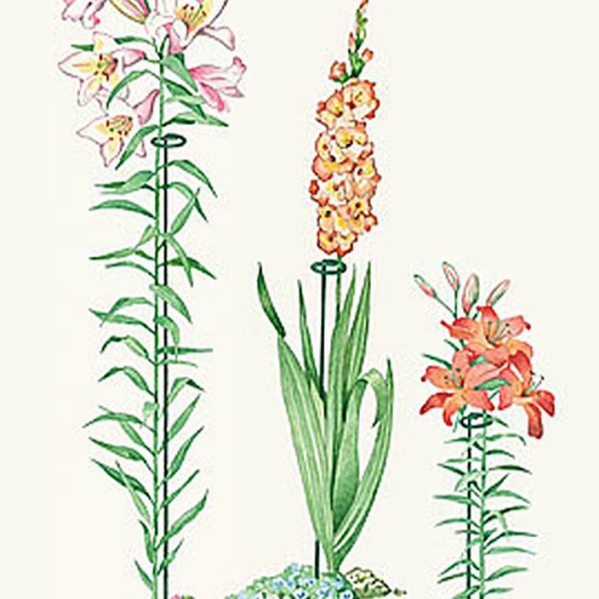 Трансграничные горячие продажи железный горшок кронштейн цветочный кронштейн цветочный кронштейн для поддержки растения опора горшечный кронштейн металлический растительный столб