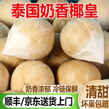 泰国椰皇新鲜奶香椰子当季一整箱牛奶椰王大果孕妇水果顺丰包邮