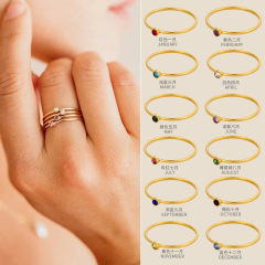 ヨーロッパとアメリカのファッション 12 月リング女性のためのシンプルな人気の多用途ダイヤモンド誕生石ステンレス鋼リング卸売