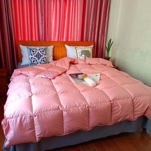 Manufacturer Wholesale Cotton Cross-Border Hotel B&B Home Textile down Quilt Core White Duck down Single and Double Spring and Autumn Quilt