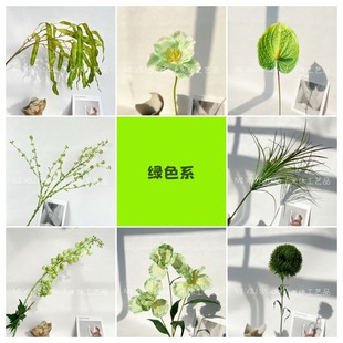 ����Gֲ Ī�λ��@ɭϵ��c���滨�J���Gɫ�Ƶ껨ˇ�羳Ӱ�ǔzӰ