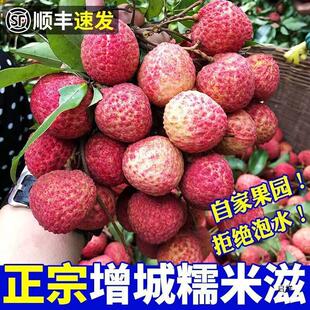 糯米糍荔枝速冻水果现摘现发白糖味罂礼盒装顺丰速冻发货-阿里巴巴