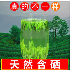 恩施富硒茶叶雀舌绿茶2023新茶明前嫩芽高山云雾贡芽罐装250g包邮