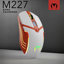 �o�������� �k����� �o���Α���� ���@ʾ�� RGB�l�� �ɶ���