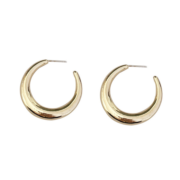 Capacious earrings hip-hop style
