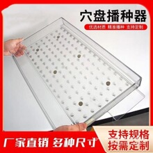 �߲��¿�Ѩ�P���N�����N�C�������ք��²��������˹�����P�N��