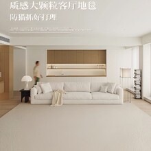 菠萝圈加厚耐磨防滑地毯家用客厅卧室玄关现代轻奢可定制地可机洗