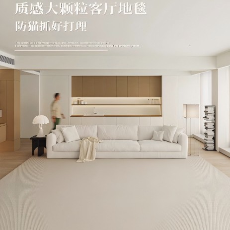菠萝圈加厚耐磨防滑地毯家用客厅卧室玄关现代轻奢可定制地可机洗