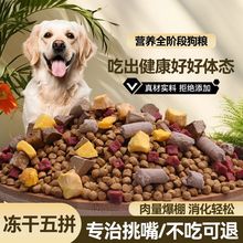 �F؛�F؛ȫ�r���Z40�����b���ɹ��ZȫȮͨ����Ȯ��Ȯ��ë�p�ٰl
