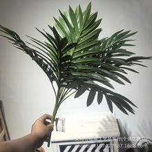 ������β���ؿ��ȿ� ����٘������҃ȿ͏d�Ƶ��쾰�bGֲ����