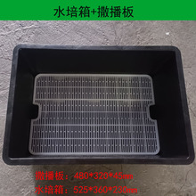 ���������Nֲˮ��������P�Nֲ��ɫ��ѿ���L�lѨ����ѿ����ˮ����