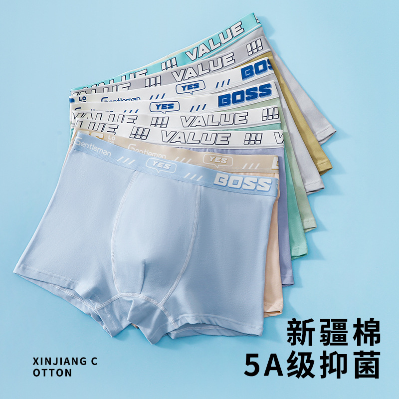 children's underwear for boys