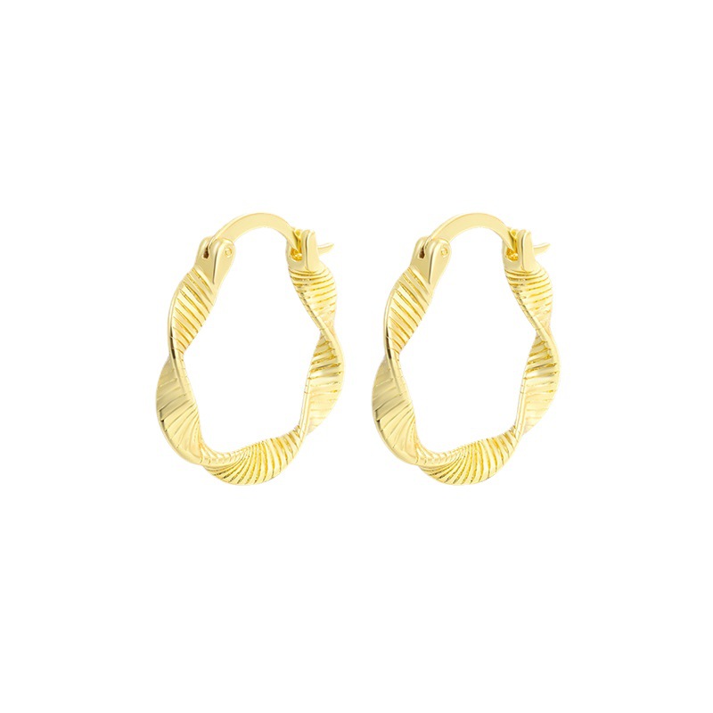 elegant earrings
