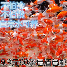 С�͵�ˮ�^�p�~�ͻ���B��ˮ���~�^�p�~���~���~��С�~�t���\��