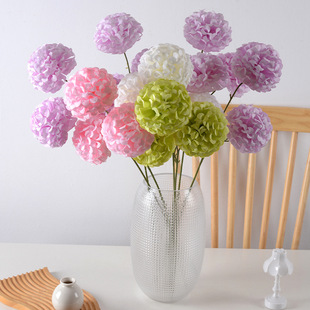 �������3�^���� �W�t������Ͱ����ý����c�Y�ý���ٻ����l