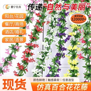�羳�F؛�ٺϻ��ٗl�G�~�b٘��~������Ϡ�ţ���ܵ��ړ��ٗl